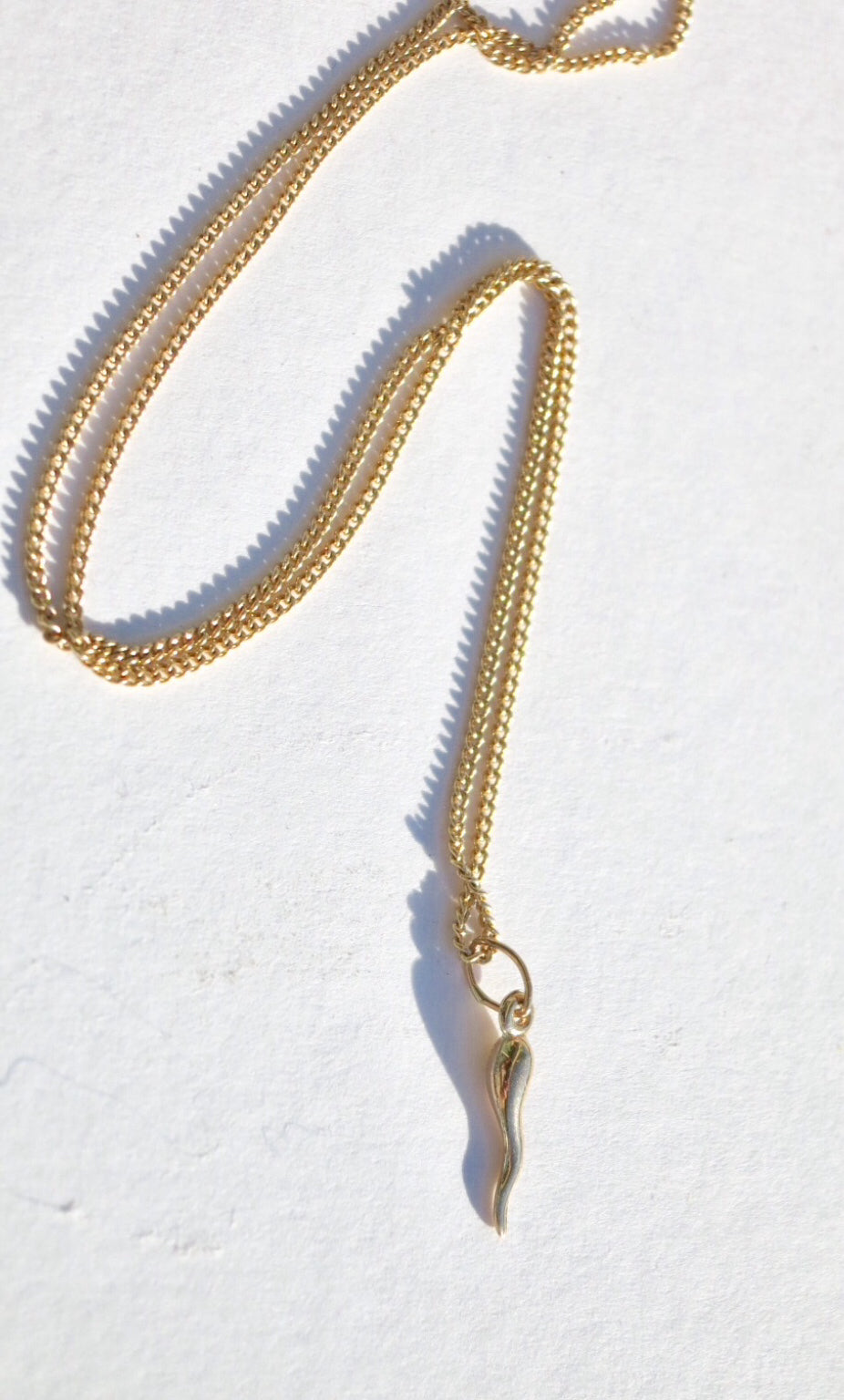 Lucky Gold Cornicello Horn Necklace - Sacred Birch