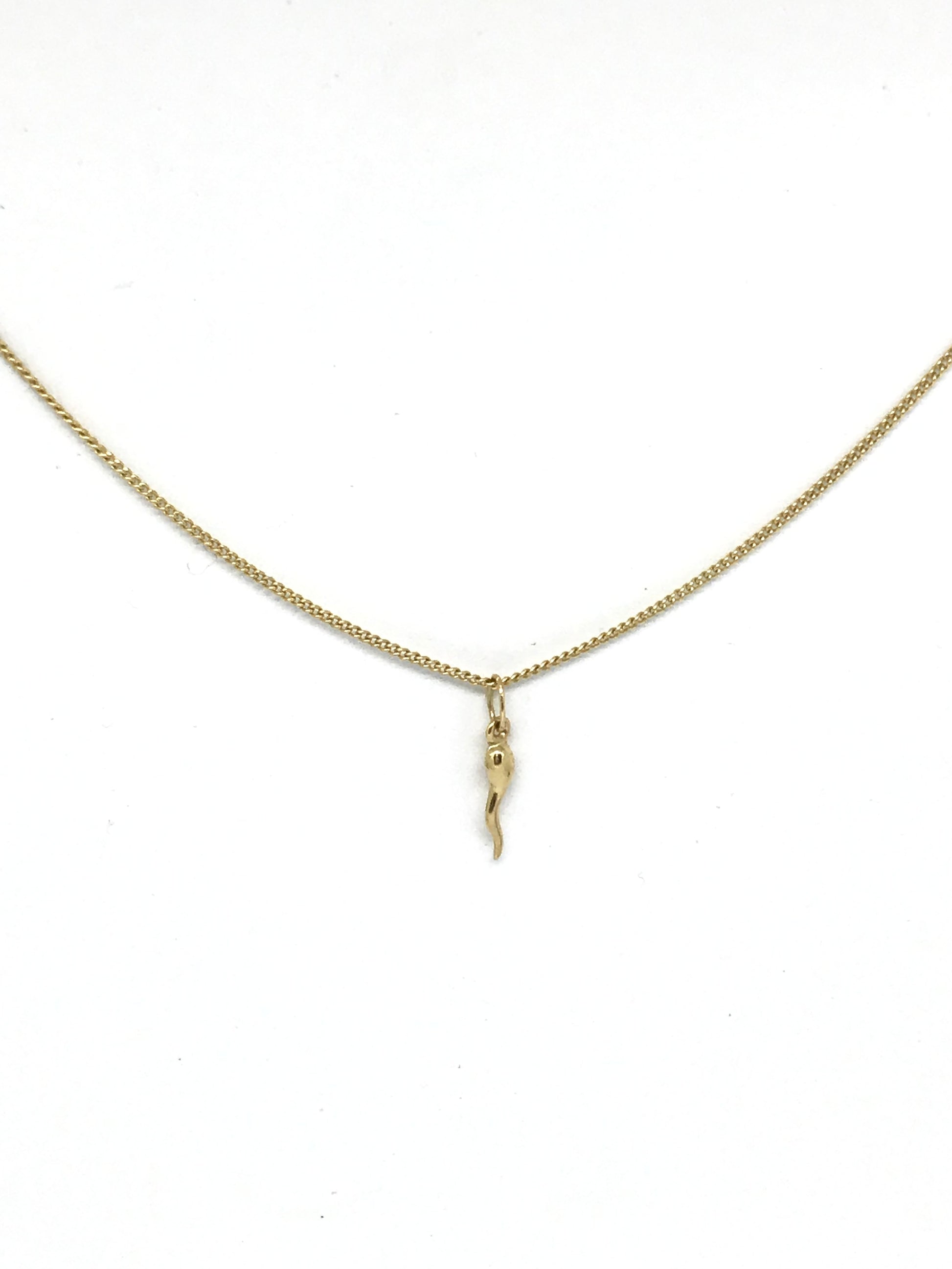 Lucky Gold Cornicello Horn Necklace - Sacred Birch